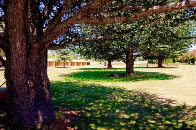 Snowy Mountains Resort and Function Centre - Dış Mekan