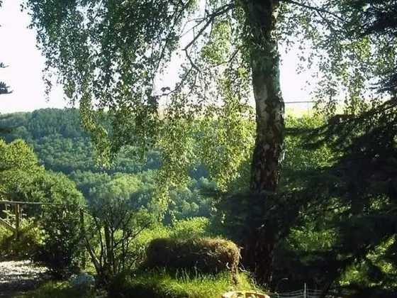 Snug Apartment in Morbach-riedenburg With Terrace - Dış Mekan