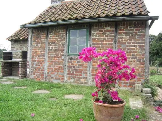 Snug, Authentic Farm House With Trampoline and Table Tennis, Peaceful - Dış Mekan