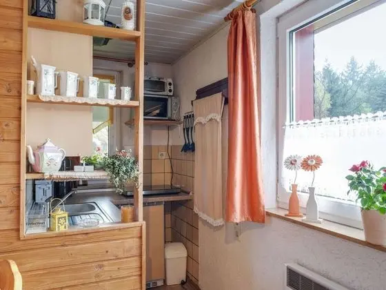 Snug Holiday Home in Altenfeld With Private Terrace - Mutfak