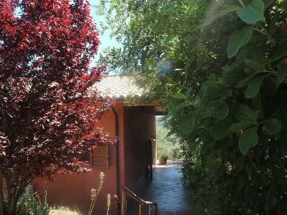 Snug Holiday Home in Castagneto Carducci near Thermal Bath - Dış Mekanlar