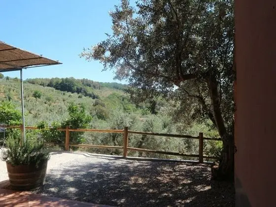 Snug Holiday Home in Castagneto Carducci near Thermal Bath - Konum Öne Çıkanlar