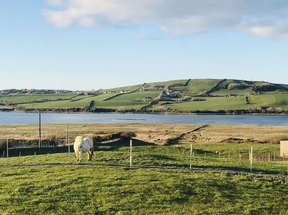 The Snuggly Sheep Shepherd Hut Farm Stay