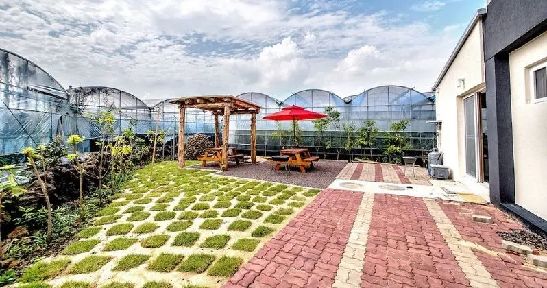 Soborok Yoborok Pension - Dış Mekan
