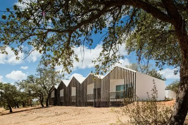 Sobreiras Alentejo Country Hotel - Dış Mekan