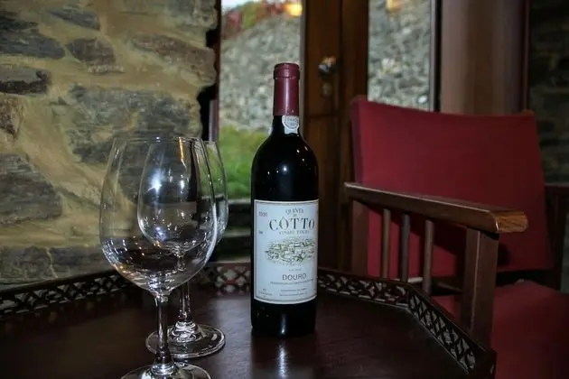 Sobreiros's Villa in Douro Valley - Lobi