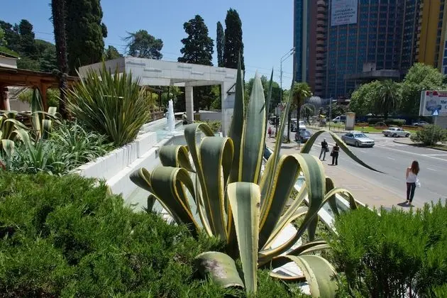Sochi Breeze Spa Hotel - Dış Mekan