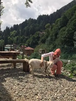 Soci Dağ Evleri - Genel
