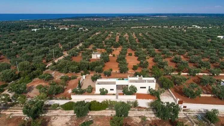 Villa Sofia - Dış Mekan