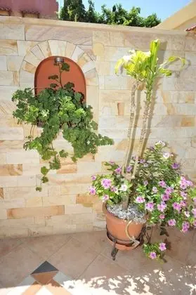 Sofia Pension - Dış Mekan