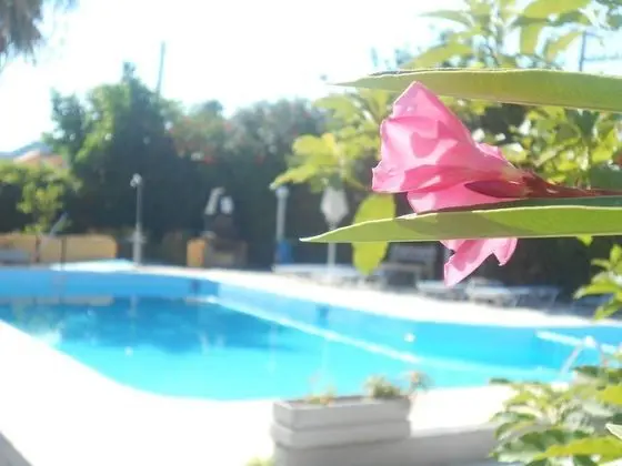 Villa Sofia - Havuz
