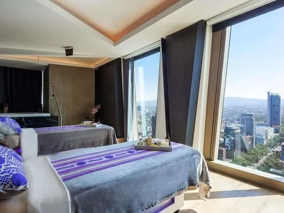 Sofitel Mexico City Reforma - Genel