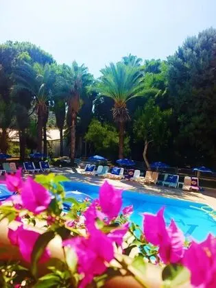Softa Vivanco Hotel