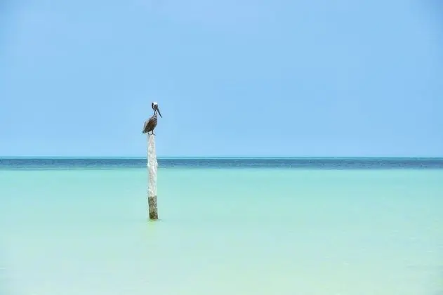 Soho Boutique Holbox - Adults Only - Plaj