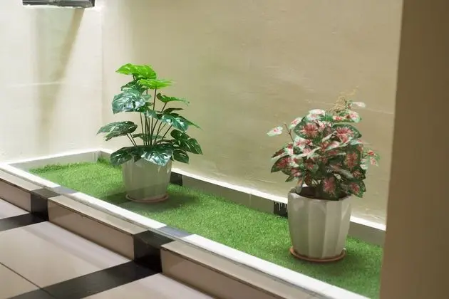 SohoTown Hotel - Dış Mekanlar