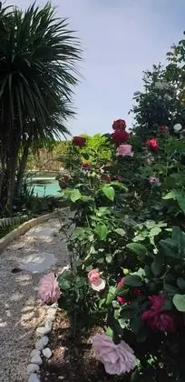 Villa Solary - Dış Mekan