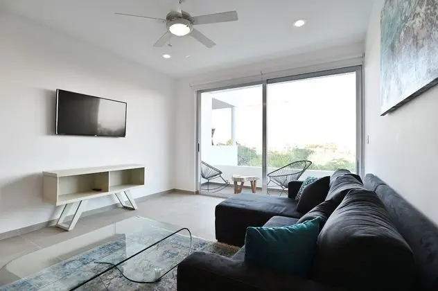 Solea 406