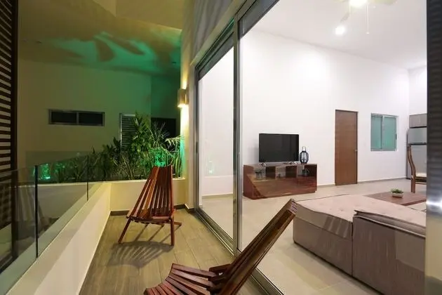 Solea 505 - Öne Çıkan Resim