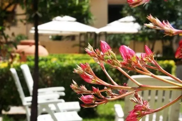 Solemare b&b - Apartments Alghero - Dış Mekan
