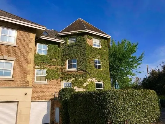 Solent Landing Pet Friendly Bembridge Beachside Holiday Home for 6