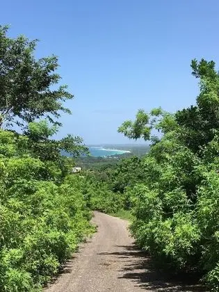 Solet's Paradise Negril - Dış Mekan