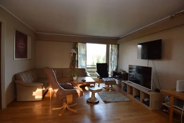 Solferie Holiday Home Bjørnestien - Oda Düzeni