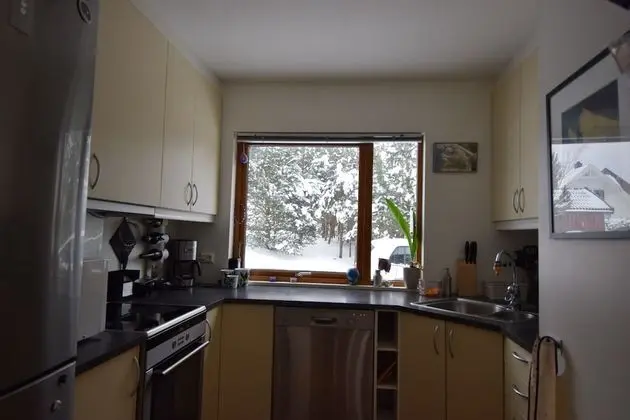 Solferie Holiday Home Odderheisløyfen - Mutfak
