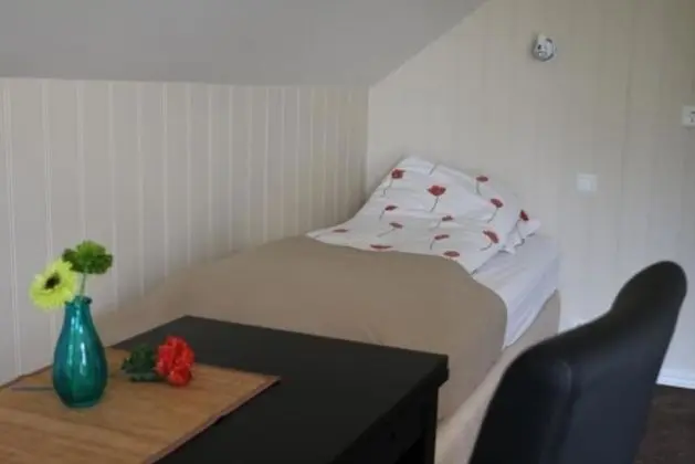 Sólheimahjáleiga Guesthouse - Oda