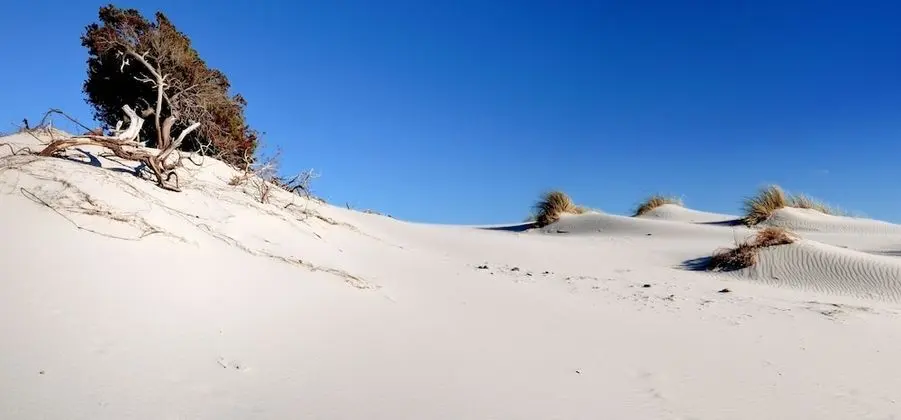 Solivariu Village Guest House Piscinas Cuore Del Sulcis