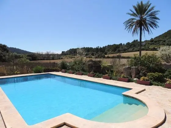 Villa Son Suau Vell - Havuz