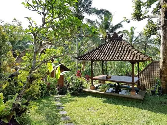 Song Broek Jungle Resort - Dış Mekan