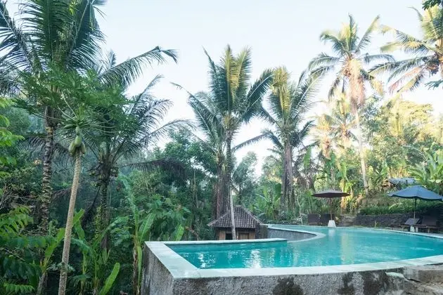 Song Broek Jungle Resort - Havuz