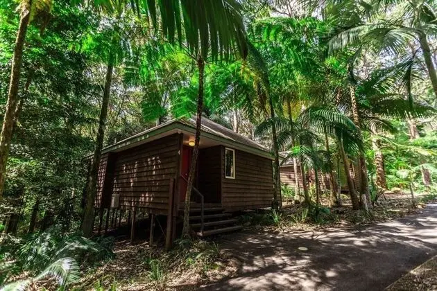 Songbirds Rainforest Retreat