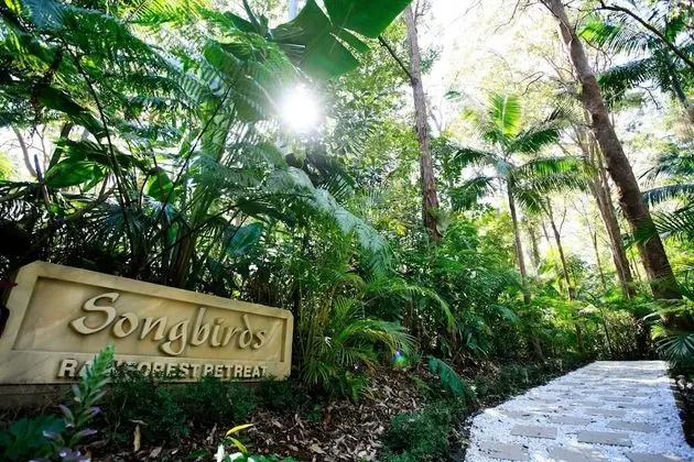 Songbirds Rainforest Retreat - Lobi