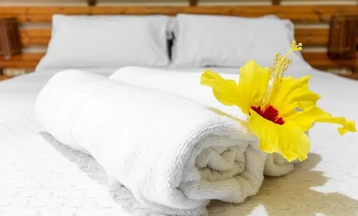 Sonhos de Praia Chales - Oda