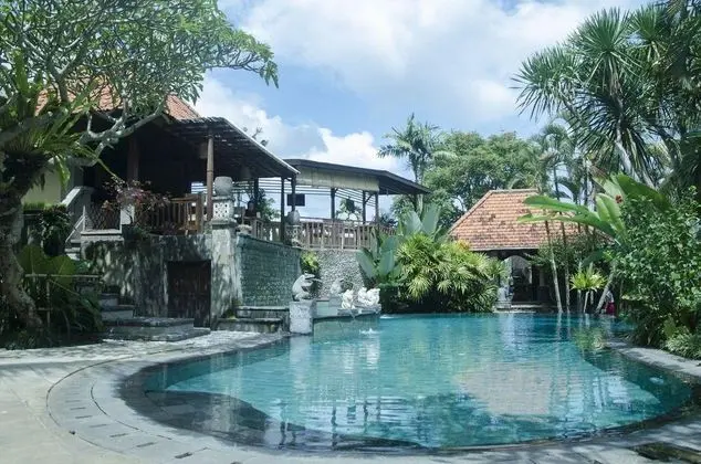 Villa Sonia Ubud Bali - Havuz