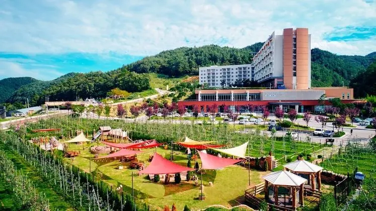 Sono Belle Cheongsong