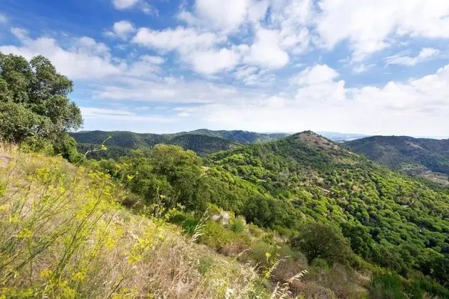 Sorrabona Apartments - Dış Mekan