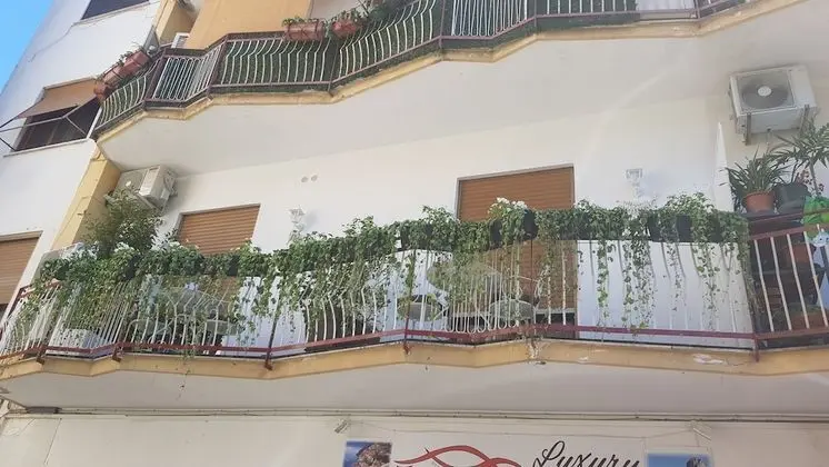 Sorrento Flower Rooms