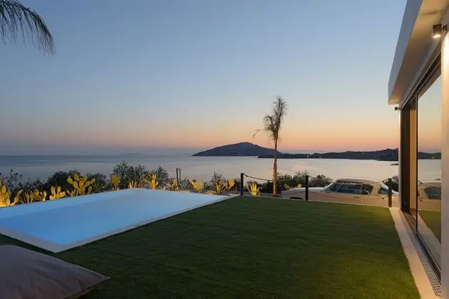 Sounio Black Villa - Havuz