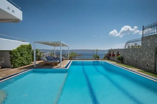 Sounio Villa - Havuz