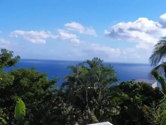 Sous le soleil de la Reunion - Plaj