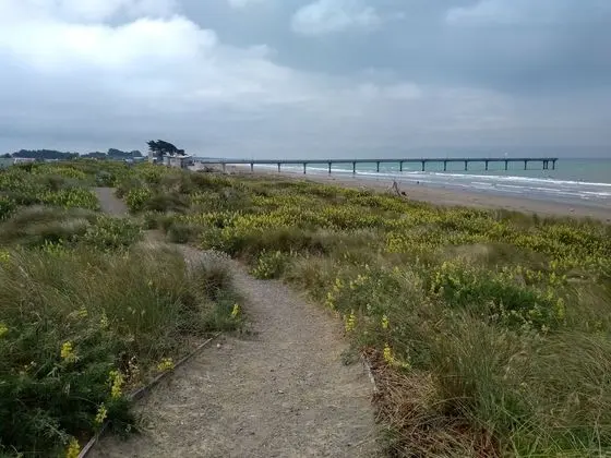South Brighton Holiday Park - Plaj