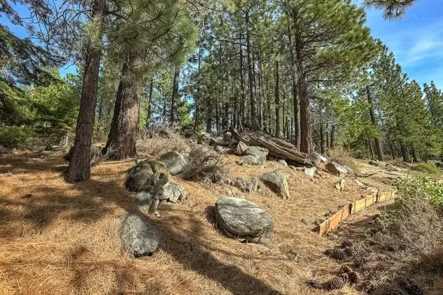 South Star Pines Place - Dış Mekan