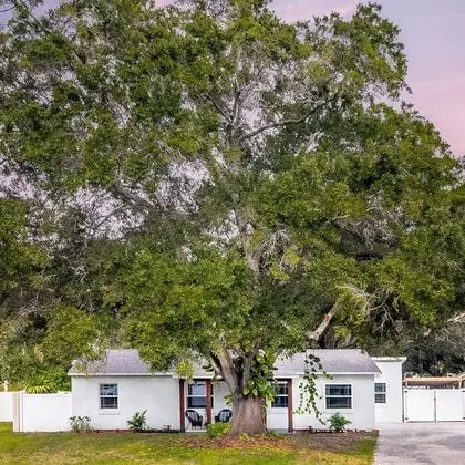 South Tampa Sweet Retreat - Dış Mekan
