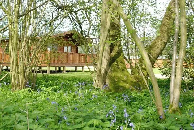 South Winchester Lodges - Öne Çıkan Resim