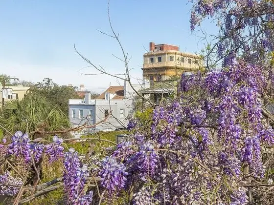 Southern Belle 3 - Dış Mekan