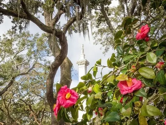 Southern Belle Garden - Dış Mekan