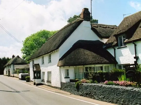 Southern Cross Guest House - Genel