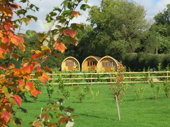 Southwell Retreat Glamping Pods